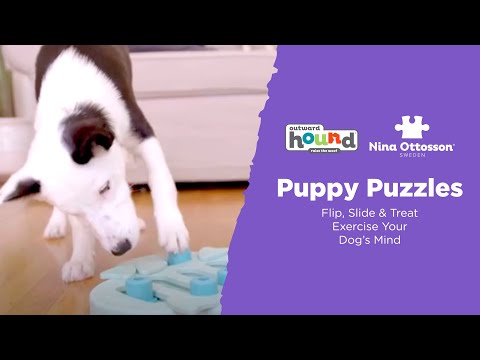 Nina Ottosson Puppy Tornado Level - interactive puzzle game for puppies, level