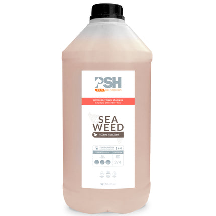 PSH Pro Seaweed Shampoo - anti-seborrheic shampoo for dogs and cats, with seaweed, concentrate 1:4